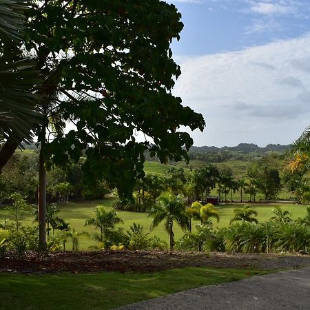 Hotel Hacienda Agroturistico Vista Hermosa Camuy Exterior foto