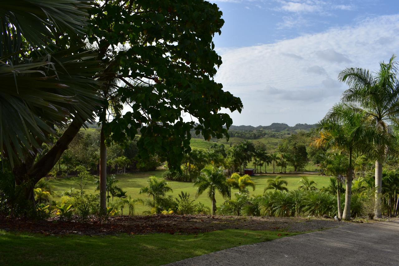 Hotel Hacienda Agroturistico Vista Hermosa Camuy Exterior foto